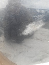 фото thumb №15, Бампер задняя pdc renault laguna iii hb