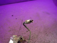 фото thumb №3, Subaru forester iii 07- 2,0d шланг wąż сцепления