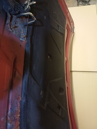 фото thumb №11, Капот audi a4 b8 08-r. цвет lz3f