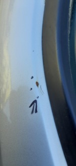 фото thumb №7, Дверь левый перед левая передние ezrc peugeot expert iii ezrc