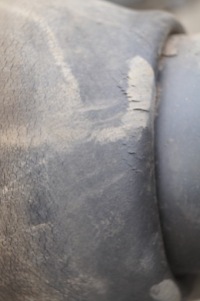 Купити Амортизатор правий перед range rover l322, фото thumb