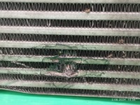 Купити Інтеркулер радіатор повітря mercedes vito v-klasa w447 14- a4475011301, фото thumb