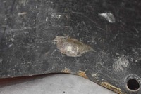 фото thumb №9, Стена перегородочная перегородка нижняя vw transporter t5 03-09