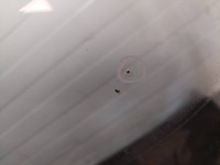 фото thumb №2, Стекло лобовое передняя sharan mk1 galaxy alhambra