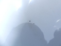 фото thumb №9, Бампер перед citroen c4 cactus 14-17 білий ewpb