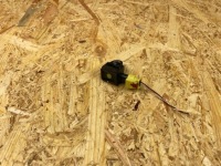 фото thumb №8, Датчик удара ударный штекер vw skoda seat audi 5q0959651