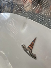 Капот кришка перед tesla model 3 17- ppsw Доставка, фото thumb