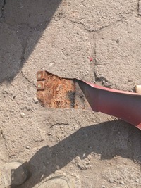 фото thumb №6, Suzuki liana крыло