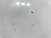 фото thumb №8, Skoda superb ii рестайлінг капот pokrwya двигуна lf9f