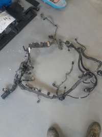 фото thumb №1, Электропроводка двигателя оригинал pilot legend odyssey 2017 + -