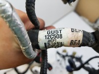 фото thumb №5, Ford mustang vi 2015+ установка двигателя жгут