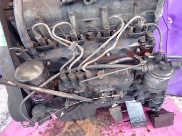 фото thumb №6, Lublin ii iii 2,4 55kw 75km andoria двигатель дизель тест измерение сжатия kpl