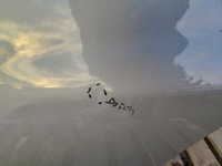 фото thumb №7, Дверь левая левый задняя chevrolet aveo t250 lift 2008-2011 5d дверь hb gqw