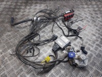 фото thumb №1, Электропроводка газовая stag-4 plus stag ps-01 valtek dream xxi tomasetto