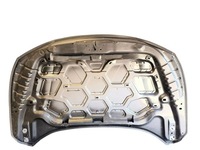 фото thumb №8, Ford focus 2022 капот