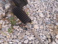 фото thumb №5, Peugeot 1007 citroen c2 c3 усилитель электрический рулевая рейка europa