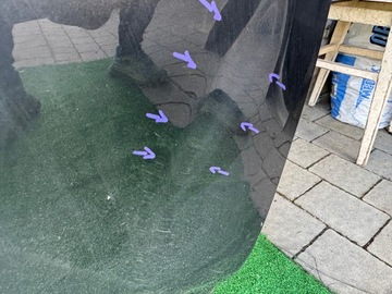 фото thumb №11, Hyundai tucson iv 4 21- дверь правые передние правые перед eu org d108