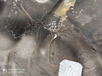 фото thumb №11, Захист теплова mini cooper r56 2.0 дизель n47