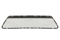 фото thumb №1, Решітка решітка радіатора бампера 6502-07-2533999p blic