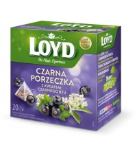 Чай фруктовый Черная смородина Бузина Солодка Цветок гибискуса 20 T. LOYD