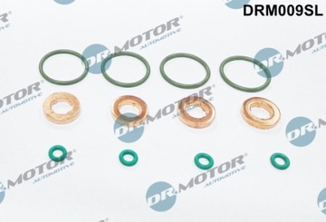 DR.MOTOR ZESTAW NAPRAWCZY WTRYSKIWACZA DRM009SL