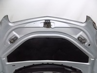 фото thumb №10, Капот kpl. - mercedes r-klasa w251 c775 05-09