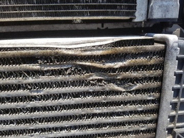 фото thumb №7, Mini cooper f55 f56 2.0 d pas переднє радіатор