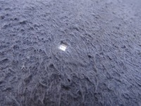 фото thumb №9, Audi s8 d2 сидіння диван шкіра алькантара recaro оригінал