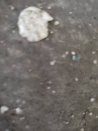 Захист передня підвіска ferrari california f149 083948900 Ціна, фото thumb