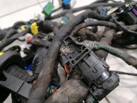 фото thumb №6, Ferrari roma f169 проводка loom rhd основний harness