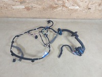 фото thumb №1, Laguna iii джгут двері лівий задня 241260073r