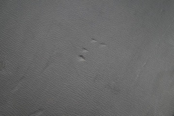 фото thumb №11, Обивка защита крышки багажника mazda cx-5 12-17r kd4568960