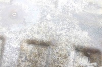 фото thumb №7, Гасник chrysler 300 c lx 04581855ab 3.0l дизель 160kw 2010