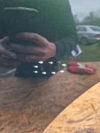 фото thumb №6, Дверь левая задняя bmw x1 u11