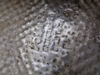 фото thumb №3, Ford transit custom захист теплова алюмінієва