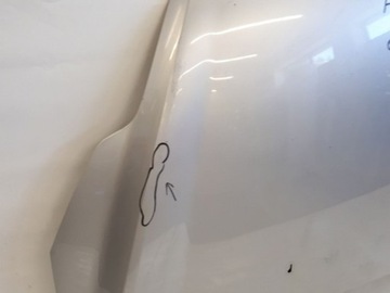 фото thumb №5, Ford focus ii рестайлинг капот