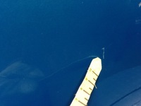 фото thumb №7, Hyundai i30 ii gd hb 5d дверь зад правые aqua синий [t2u]