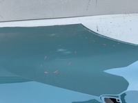 фото thumb №15, Hyundai bayon 21r- дверь правый задняя задние правое