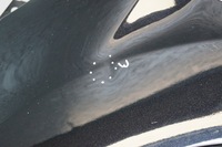 фото thumb №14, Крыло левый перед ford fiesta mk7