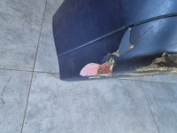 Бампер перед передній kompletny mercedes sl r129 Оригінал, фото thumb