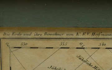 1835r. Stara Mapa roślinności Europy 42x32 cm