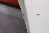 фото thumb №12, Бампер задняя задний белый jaguar xf x260 2 ii sedan 15-20