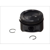 фото thumb №1, Поршень nural