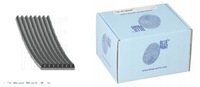 фото thumb №1, Blue print ad08r1225 ремень клиновой многоручьевой