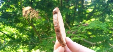 Сосновые диски, 500 шт, 2-7 см, декор, кусочки дерева