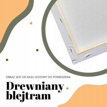 OBRAZ MALOWANIE PO NUMERACH dzieci zwierzęta, lis 30x30 NA PREZENT