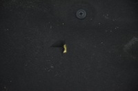 фото thumb №12, Капот крышка двигателя jaguar xf x250