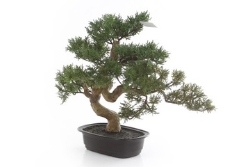 efektowne sztuczne drzewko BONSAI CEDR 40 japońskie drzewka BONZAI sztuczny