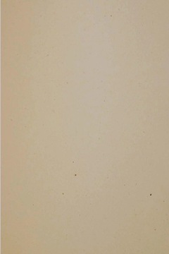 Papier ozdobny ekologiczny Flora 130g Tabacco j. brązowy z wtrąceniami 10A4