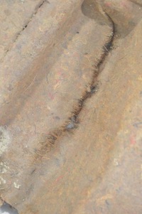 фото thumb №12, Шумоізоляція pod kanapę mercedes w140 s клас 1406820702